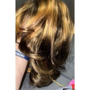 Dena Cali Linsey Wig Multi Color Highlight